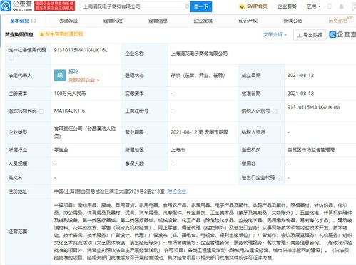 商務信息咨詢 企業戰略決策的智慧導航